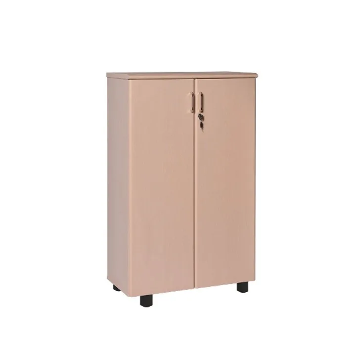 TỦ VĂN PHÒNG 2 CÁNH NT1260DN